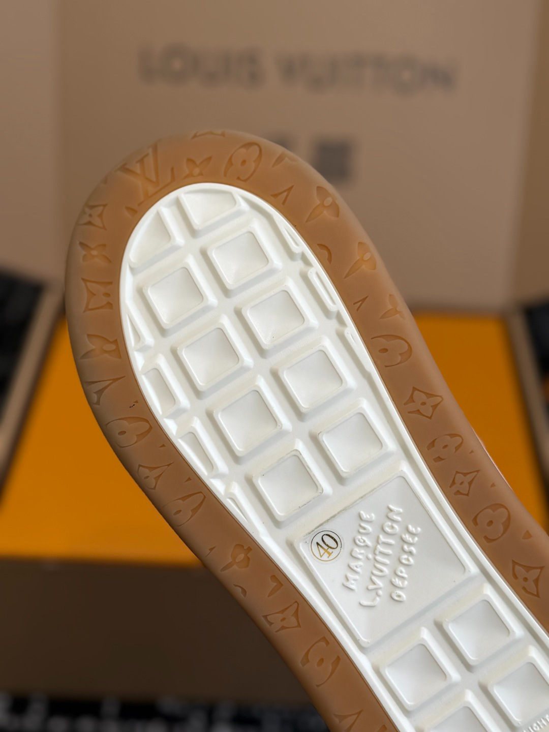 wsxc1768754955191_8.jpg